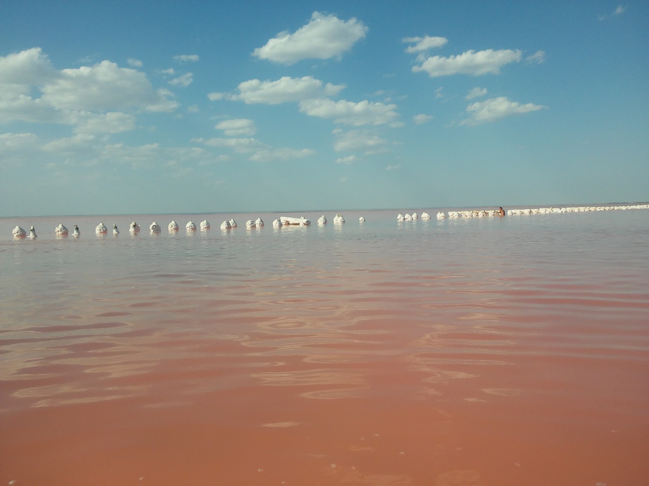 Розовое озеро Сасык-Сиваш в Крыму