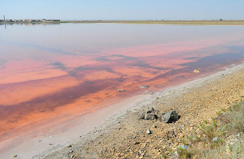 Розовое озеро в Поповке Крым 